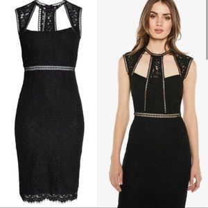 New! Bardot Splice Panel Lace Dress